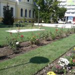 Foto-05