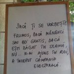 campanie-electorala