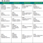 program