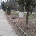 parc2