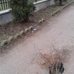 parc3