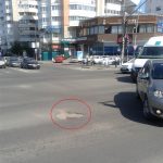 Foto44