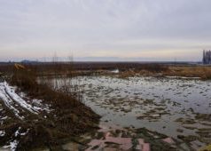 BUGETUL BACĂULUI ÎN 2018: RESTANŢE ŞI SPERANŢE