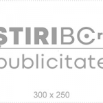 pub300x250
