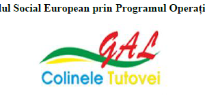 COMUNICAT DE PRESĂ
